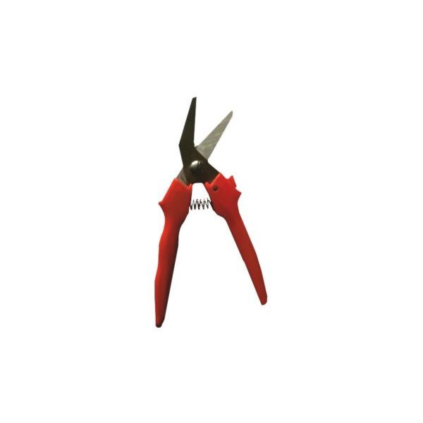 Schaar voor lashingband 32 mm, 35 mm, 38 mm, 40 mm en 50 mm